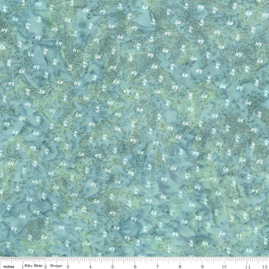 New York ~ BT23647-672 Seafoam Splash