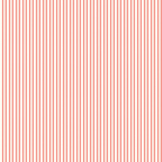 Melody ~ Stripes ~ C15146-SALMON