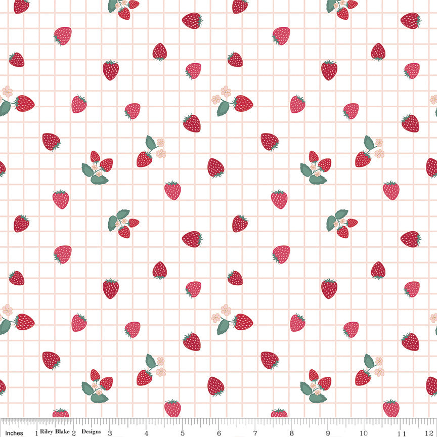 Berry Market ~ Gingham Berries ~ C15747-WHITE