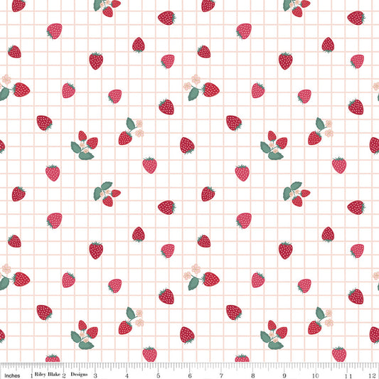 Berry Market ~ Gingham Berries ~ C15747-WHITE