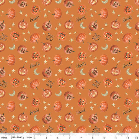 Trick or Treat ~ Pumpkin ~ C15964-ORANGE
