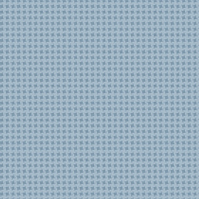 Anne of Green Gables™ 2 ~ Gingham ~ C16127-BLUE