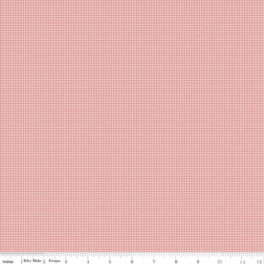Anne of Green Gables™ 2 ~ Gingham ~ C16127-PINK