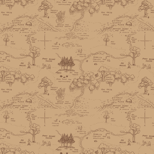 Winnie the Pooh ~ Map ~ C17001-BROWN
