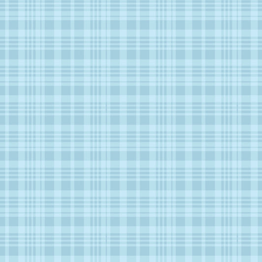 Winnie the Pooh ~ Plaid ~ C17005-BLUE