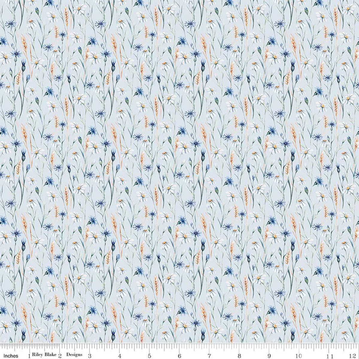 Daybreak on the Prairie ~ Wild Flowers ~ CD17685 ~ Blue