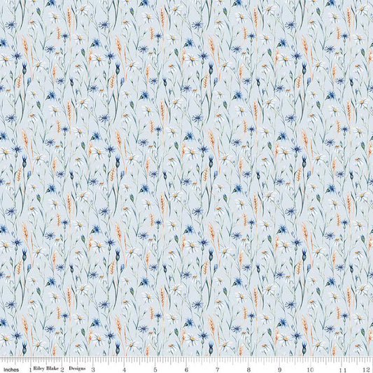 Daybreak on the Prairie ~ Wild Flowers ~ CD17683 ~ Blue