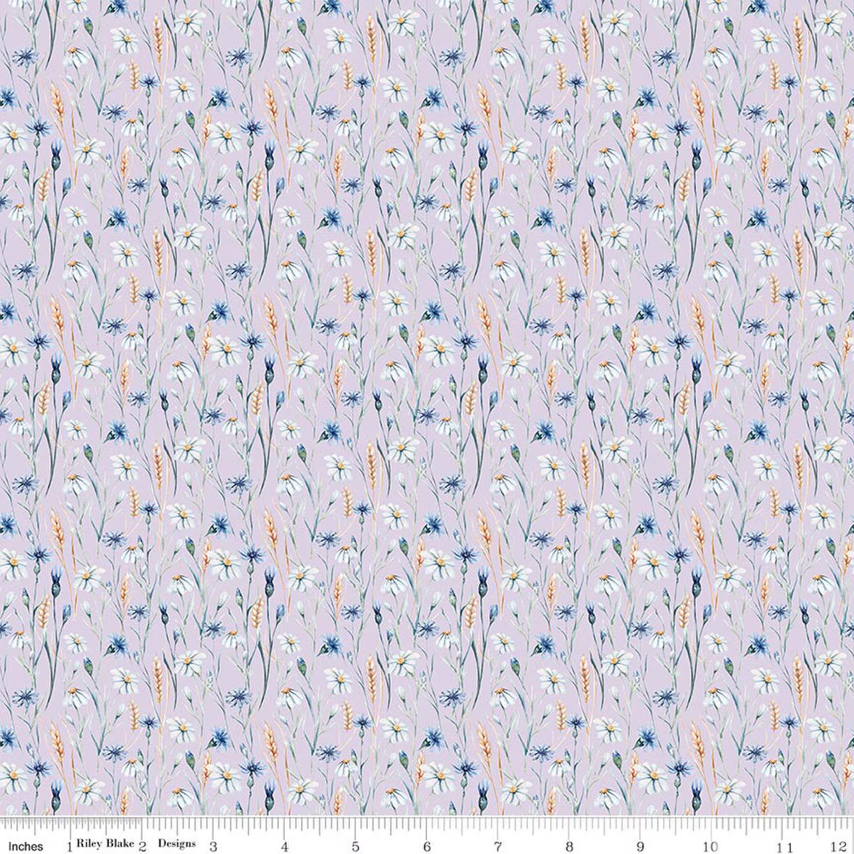 Daybreak on the Prairie ~ Wildflowers ~ CD17685 ~ Purple