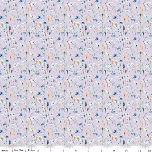 Daybreak on the Prairie ~ Wildflowers ~ CD17685 ~ Purple