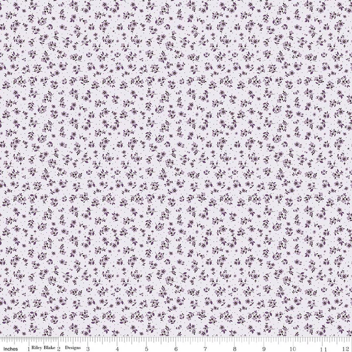 Daybreak on the Prairie ~ Ditsy ~ CD17687 ~ Purple