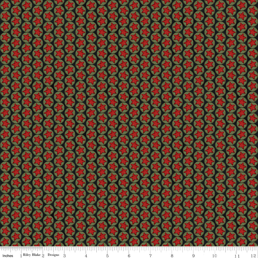 Northern Christmas ~ Stars ~ C17834-BLACK