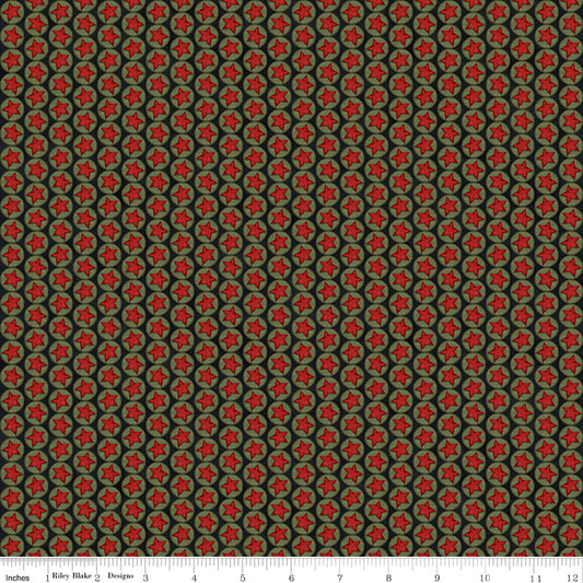 Northern Christmas ~ Stars ~ C17834-BLACK