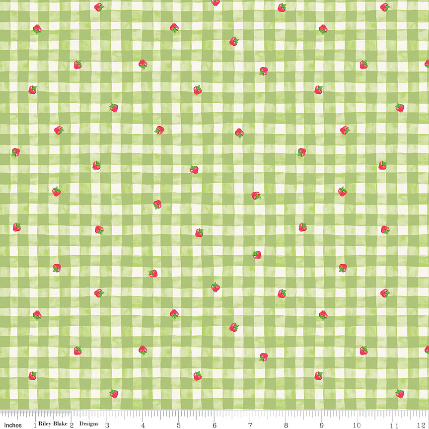 The World of Strawberry Shortcake |  Gingham Green C18562-GREEN