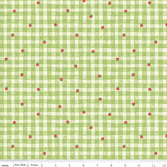 The World of Strawberry Shortcake |  Gingham Green C18562-GREEN