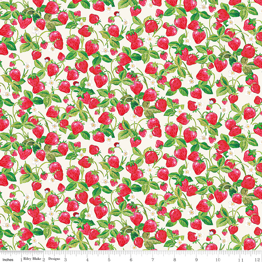 The World of Strawberry Shortcake |  Strawberries C18564-CREAM