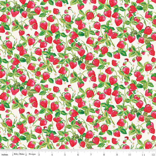 The World of Strawberry Shortcake |  Strawberries C18564-CREAM