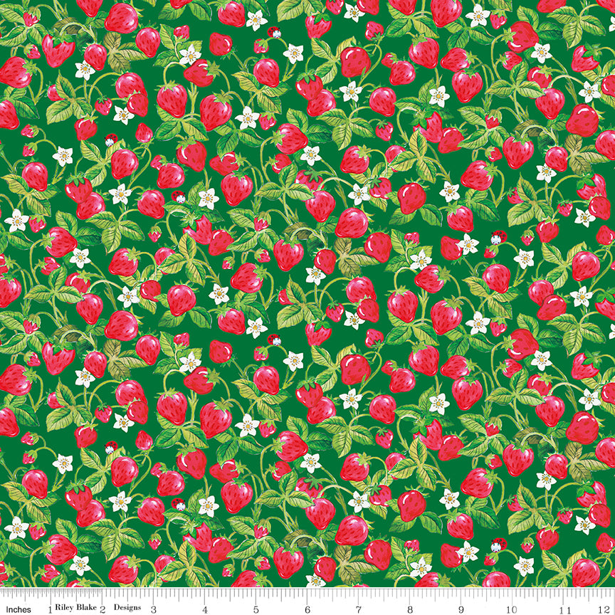The World of Strawberry Shortcake |  Strawberries C18564-GREEN
