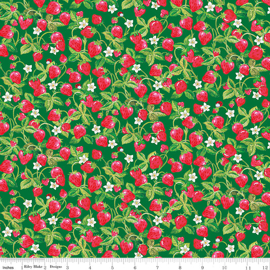 The World of Strawberry Shortcake |  Strawberries C18564-GREEN