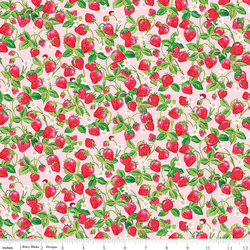 The World of Strawberry Shortcake |  Strawberries C18564-PINK