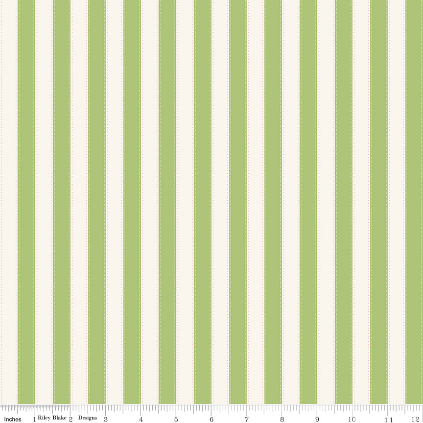 The World of Strawberry Shortcake |  Stripes C18565-GREEN