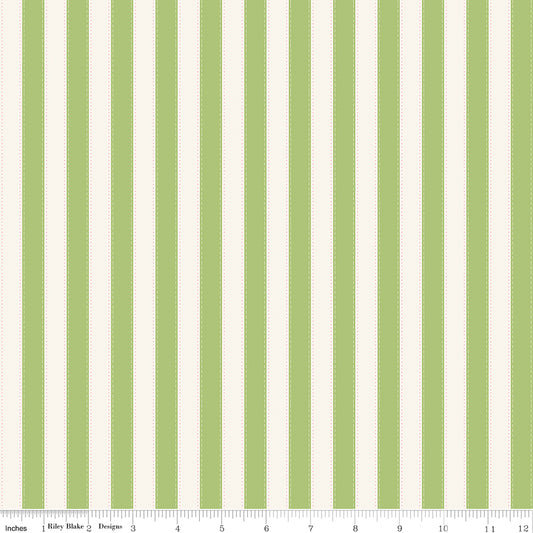 The World of Strawberry Shortcake |  Stripes C18565-GREEN