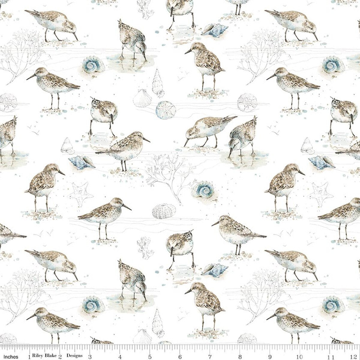 Sea Echoes ~ Birds White ~ C18821-White