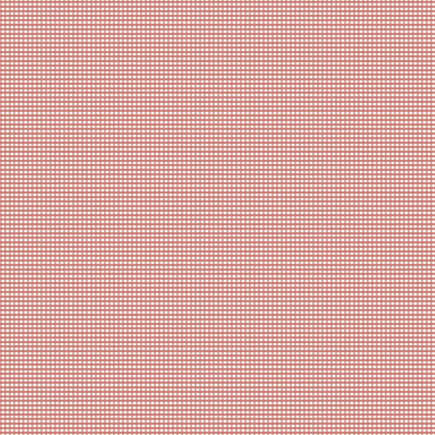 Gingham 2024 ~ Micro Gingham ~ C455-CANYONROSE