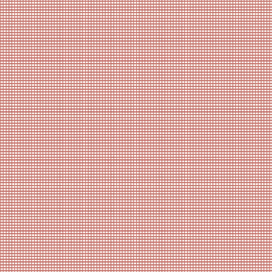 Gingham 2024 ~ Micro Gingham ~ C455-CANYONROSE