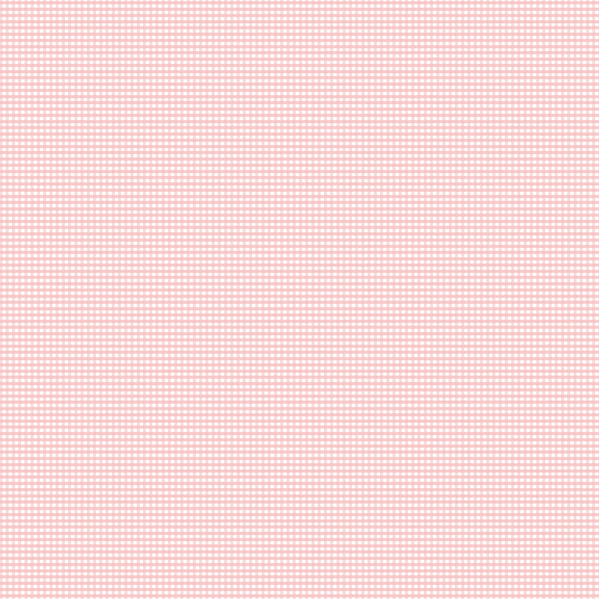 Gingham 2024 ~ Micro Gingham ~ C455-FROSTING