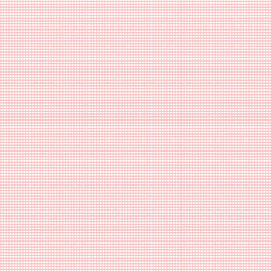 Gingham 2024 ~ Micro Gingham ~ C455-FROSTING