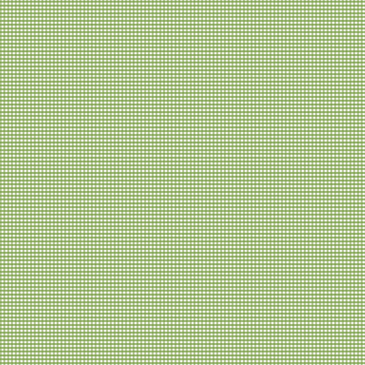 Gingham 2024 ~ Micro Gingham ~ C455-GREEN