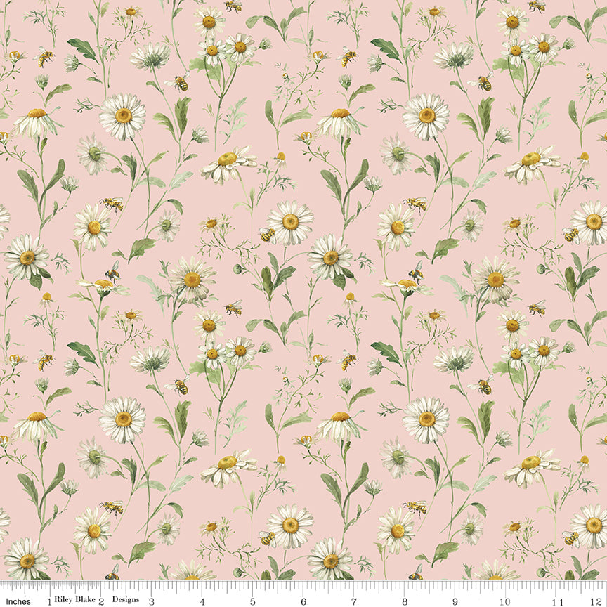 Love Me More ~ Daisies ~ C15633-BLUSH