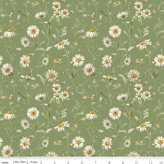 Love Me More ~ Daisies ~ C15633-GREEN