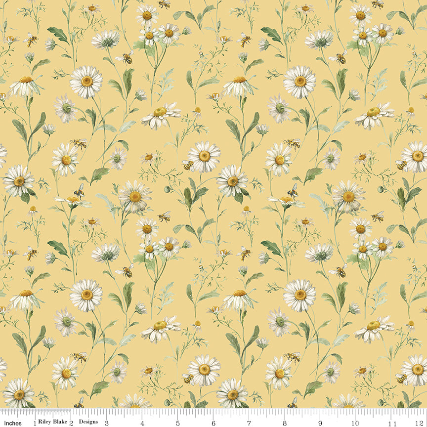 Love Me More ~ Daisies ~ C15633-YELLOW