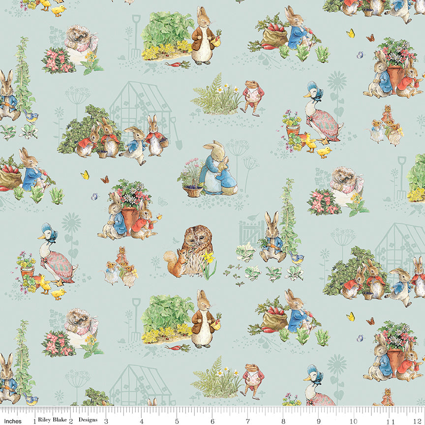 Peter Rabbit & Friends ~ Characters ~ CD15861-BLUE