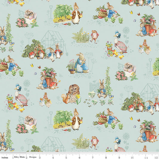 Peter Rabbit & Friends ~ Characters ~ CD15861-BLUE