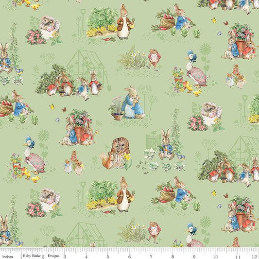 Peter Rabbit & Friends ~ Characters ~ CD15861-FERN