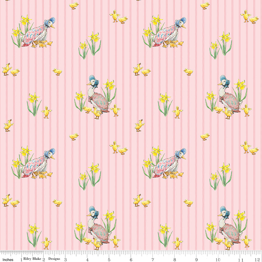 Peter Rabbit & Friends ~ Duck Stripe ~ CD15862-PINK