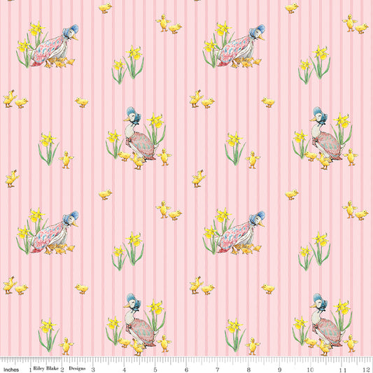 Peter Rabbit & Friends ~ Duck Stripe ~ CD15862-PINK