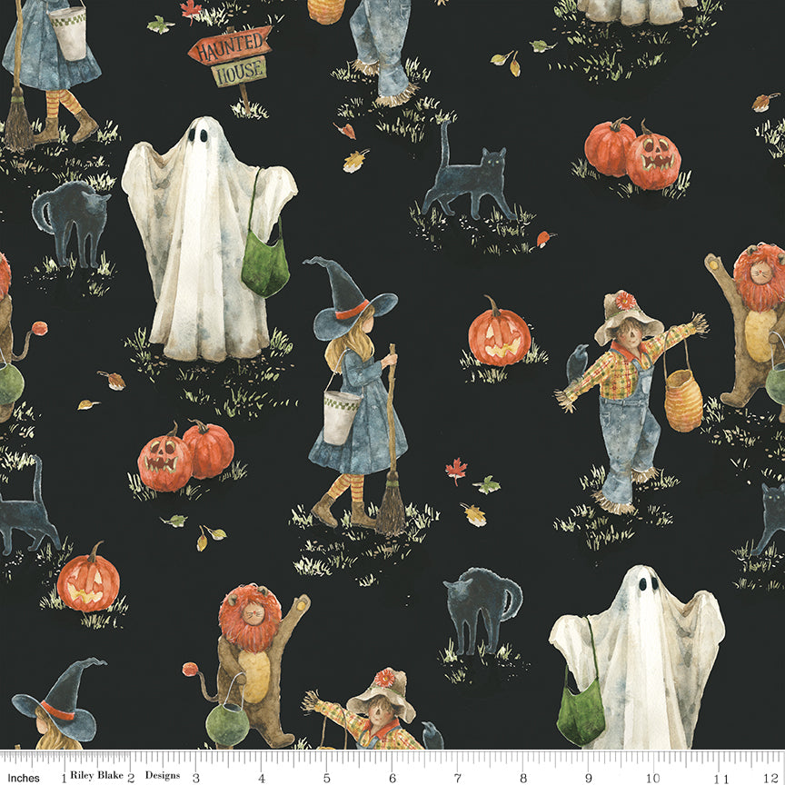 Trick or Treat ~ 28" remnant ~ Main ~ CD15960-BLACK