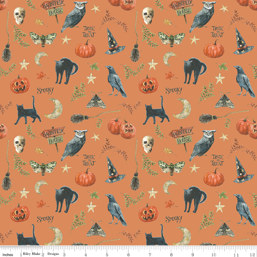 Trick or Treat ~ Spooky ~ CD15962-ORANGE