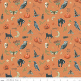 Trick or Treat ~ Spooky ~ CD15962-ORANGE