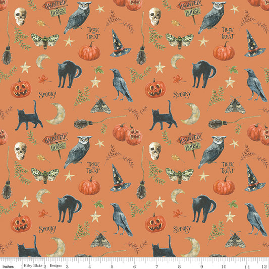 Trick or Treat ~ Spooky ~ CD15962-ORANGE