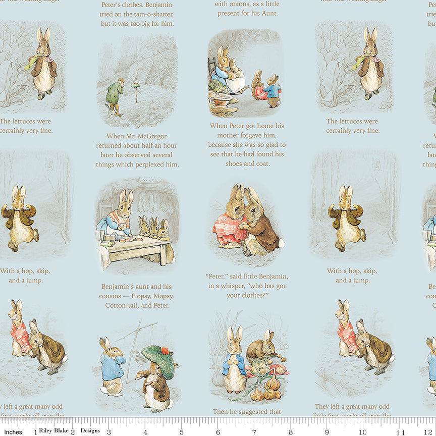 Peter Rabbit™ and Benjamin Bunny™ ~ Story Time ~ C17252-BLUE