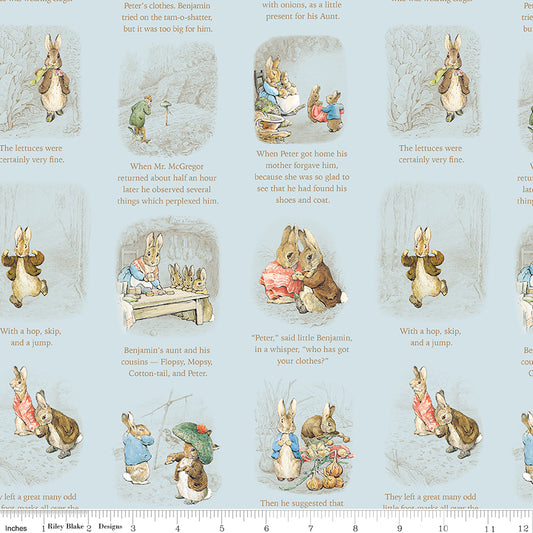 Peter Rabbit™ and Benjamin Bunny™ ~ Story Time ~ C17252-BLUE