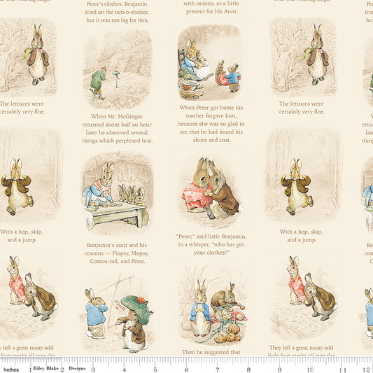 Peter Rabbit™ and Benjamin Bunny™ ~ Story Time ~ C17252-CREAM