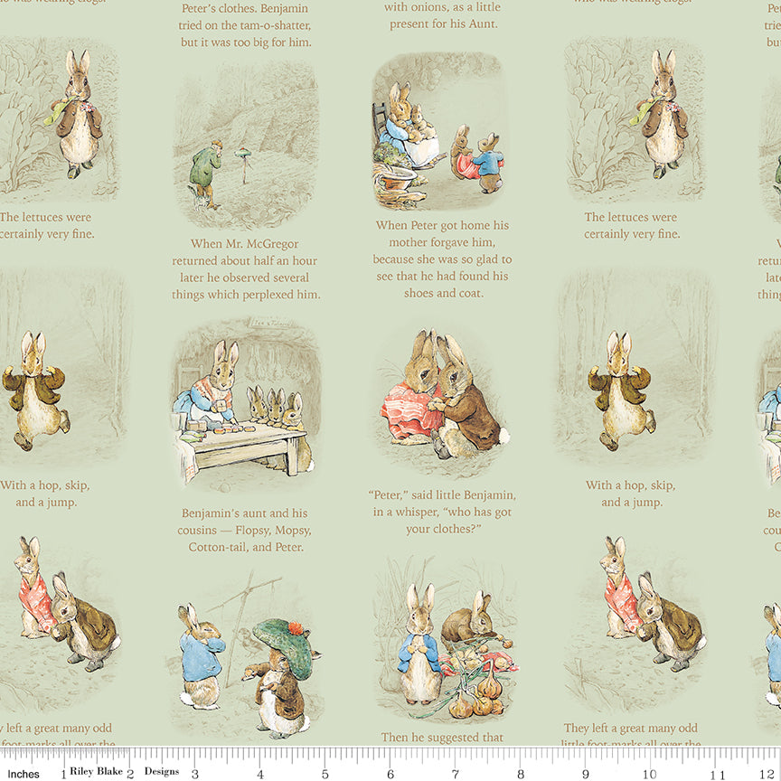 Peter Rabbit™ and Benjamin Bunny™ ~ Story Time ~ C17252-GREEN
