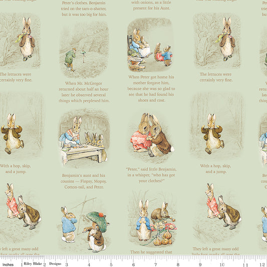 Peter Rabbit™ and Benjamin Bunny™ ~ Story Time ~ C17252-GREEN