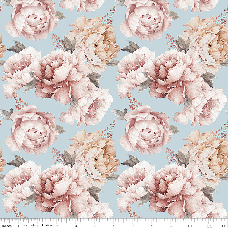 Daybreak on the Prairie ~ Peonies ~ CD17680-BLUE