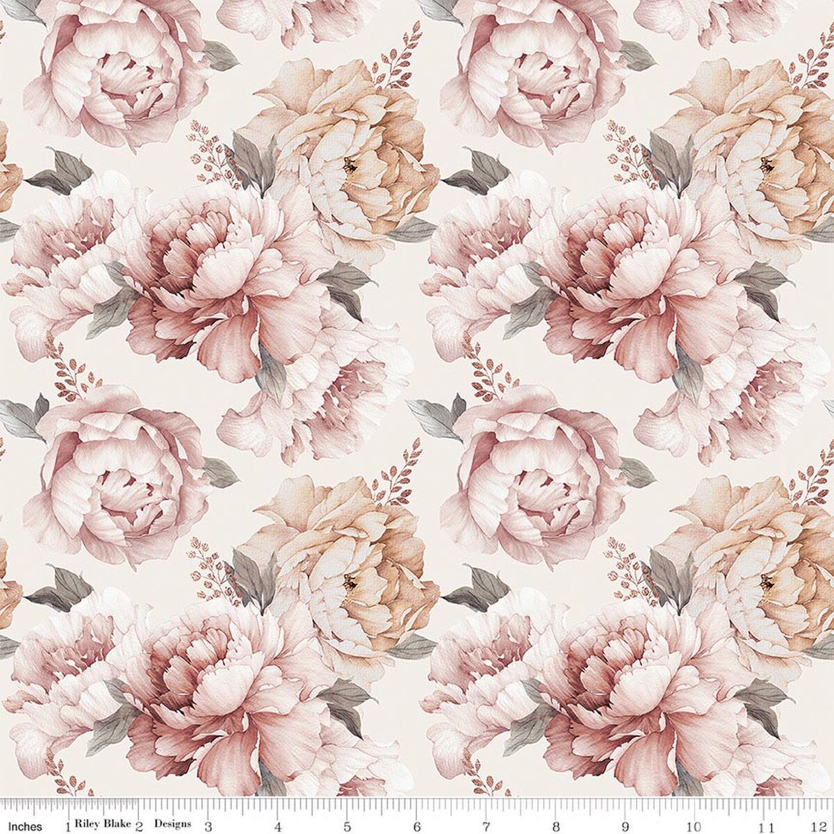 Daybreak on the Prairie ~ Peonies ~ CD17680 ~ Cream
